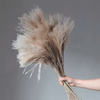 Ramo de Pampas Naturales - China Deals | LOi