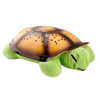 Tortuga Veladora Musical - LOI | LOi