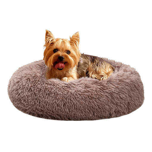 Regalale a tu mascota un lugar suave y cómodo para dormir con esta cama nido. Se encuentra fabricada con materiales de gran calidad y cuenta con un relleno sumamente confortable y lados especiales para adaptarse a la posición favorita de tu mejor amigo. Gracias a su tejido afelpado es perfecta para brindar protección y comodidad e incluso tiene una base antideslizante e impermeable que la mantendrá en la misma posición y alejada de la humedad. Además, es fácil de lavar, no retiene olores y es ideal para toda clase de mascotas pequeñas.
