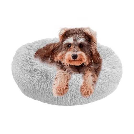 Regalale a tu mascota un lugar suave y cómodo para dormir con esta cama nido. Se encuentra fabricada con materiales de gran calidad y cuenta con un relleno sumamente confortable y lados especiales para adaptarse a la posición favorita de tu mejor amigo. Gracias a su tejido afelpado es perfecta para brindar protección y comodidad e incluso tiene una base antideslizante e impermeable que la mantendrá en la misma posición y alejada de la humedad. Además, es fácil de lavar, no retiene olores y es ideal para toda clase de mascotas pequeñas.