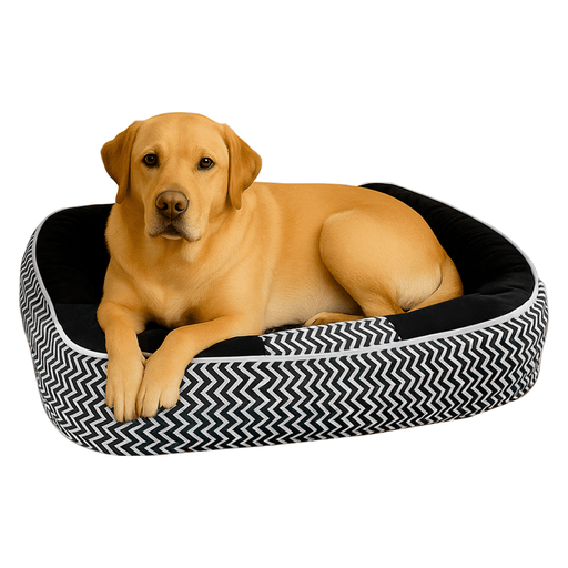 Dale a tu mascota el descanso que se merece con esta cama rectangular, suave y cómoda, ideal para acompañarla en sus momentos de relax. Confeccionada en materiales de alta calidad, su textura acolchonada brinda una sensación envolvente. Además, no retiene olores y se limpia con facilidad, lo que la convierte en una opción práctica y duradera para el día a día.