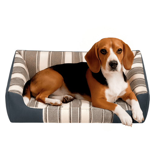 Dale a tu mascota el descanso que se merece con nuestra cama especialmente diseñada para su confort y bienestar. Su funda removible y lavable facilita la limpieza, manteniendo su espacio siempre fresco e higiénico, sin complicaciones. El almohadón acolchado ofrece un excelente soporte, ideal para largas siestas y momentos de relajación, mientras que su forma rectangular brinda el espacio necesario para que tu mascota se estire cómodamente.