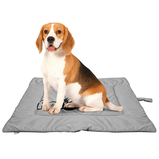 Esta Cama para Mascotas está diseñada para la máxima comodidad de tus queridas mascotas, combinando un atractivo diseño rosa decorado con estampado. Fabricada con materiales de alta calidad, esta cama está acolchada con felpa esponjosa que brinda una textura confortable para que tu mascota siempre se sienta como en casa. Además, su material lavable garantiza una limpieza fácil y conveniente, y al no retener olores, mantendrá siempre un ambiente fresco para tu mascota.