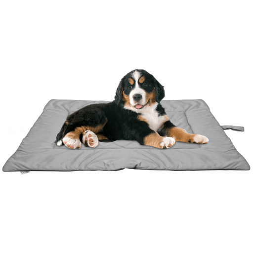 Esta Cama para Mascotas está diseñada para la máxima comodidad de tus queridas mascotas, combinando un atractivo diseño rosa decorado con estampado. Fabricada con materiales de alta calidad, esta cama está acolchada con felpa esponjosa que brinda una textura confortable para que tu mascota siempre se sienta como en casa. Además, su material lavable garantiza una limpieza fácil y conveniente, y al no retener olores, mantendrá siempre un ambiente fresco para tu mascota.