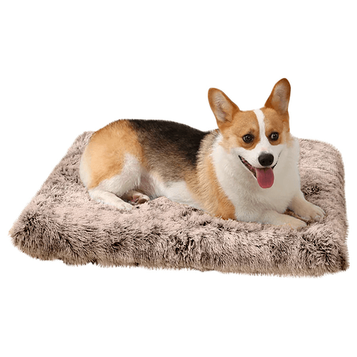 La cama para mascotas con base antideslizante y tejido afelpado es el accesorio perfecto para tus mascotas. Confeccionada con material duradero y a prueba de mordeduras, esta cama es ligera y muy cómoda. Su tejido afelpado suave y relleno de algodón PP aseguran que tu mascota se sienta cómoda mientras descansa. Además, esta cama es práctica y versátil, ya que puede ser utilizada en múltiples ocasiones. Su base antideslizante e impermeable garantiza la estabilidad y comodidad de tu mascota, mientras que su alta calidad asegura una larga durabilidad.