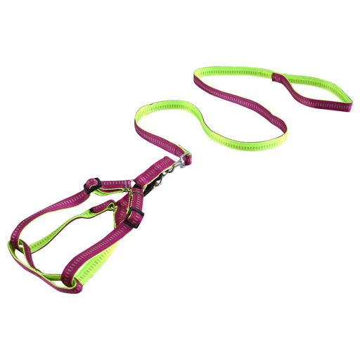 El set de arnés y correa para perro combina seguridad, comodidad y resistencia en un diseño moderno y funcional. Fabricado en nylon de alta calidad, ofrece una estructura ajustable que se adapta perfectamente al cuerpo de tu mascota, brindándole libertad de movimiento sin sacrificar control. Su gancho tipo mosquetón de aleación con rotación de 360° evita enredos y garantiza un enganche firme y duradero. Es lavable, resistente y suave al tacto, ideal para el uso diario o actividades al aire libre como caminar, correr, hacer senderismo o paseos nocturnos. La correa de 120cm proporciona un equilibrio perfecto entre control y libertad, mientras que el arnés cuenta con una extensión regulable de 45cm a 60cm, adaptándose a distintos tamaños y razas.