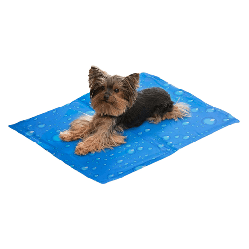 Esta manta de gel para mascotas es el accesorio perfecto para los días calurosos, ya que funciona absorbiendo el calor corporal de tu mascota y disipándolo hacia el aire a través de la evaporación. Es fácil de limpiar y no necesita agua, refrigeración o electricidad para funcionar, por lo que solo tenés que colocar la manta en la superficie donde prefieras que tu perro esté fresco y está listo para utilizar.