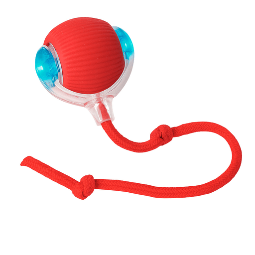 Esta pelota interactiva con batería recargable combina luces LED, movimientos impredecibles y tres modos de juego para estimular el instinto cazador de tu mascota. Se carga en solo 30 minutos y ofrece hasta 2 horas de entretenimiento. Compacta, segura y resistente, es ideal para mantener a tu gato activo y feliz todos los días.
