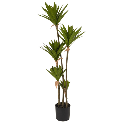 Decorá tus espacios con un toque natural y sin esfuerzo gracias a esta planta artificial tipo Dracaena de 87cm de altura. Con un diseño realista y hojas verdes vibrantes, es perfecta para embellecer interiores y exteriores como salas, dormitorios, oficinas, balcones o jardines. Fabricada en plástico de alta calidad, es resistente, fácil de limpiar y viene con maceta incluida, lo que la convierte en una opción práctica, duradera y lista para usar en cualquier ambiente.