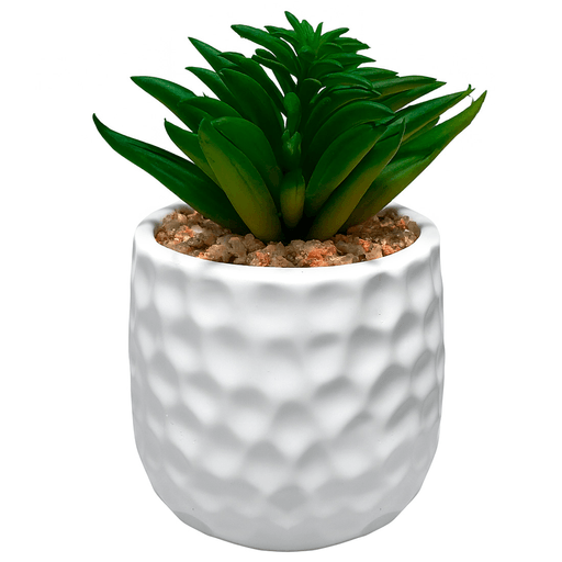 Decorá tus espacios con estilo y frescura gracias a esta encantadora suculenta artificial. Sus hojas de goma, cuidadosamente diseñadas para imitar la textura y el color de una planta real, se combinan con una elegante maceta de cerámica que aporta un toque moderno y sofisticado. Su diseño realista la convierte en el complemento perfecto para darle vida a cualquier rincón, ya sea en tu dormitorio, sala de estar, oficina o incluso en el balcón. Sin necesidad de mantenimiento, esta pieza decorativa es ideal para disfrutar de la belleza natural todos los días, sin complicaciones.