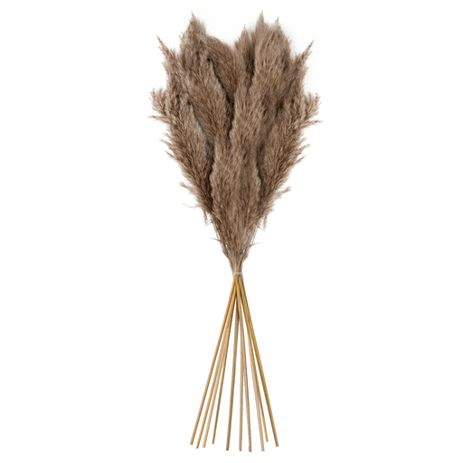 Este hermoso ramo de pampas secas en tono marrón claro aporta un aire natural, elegante y acogedor a cualquier espacio. Con su textura suave y esponjosa, se convierte en un elemento decorativo ideal para interiores de estilo boho, rústico o minimalista. Con una altura total de 65cm, permiten colocarlas fácilmente en floreros altos, ya sea sobre una mesa o directamente en el suelo. Perfecto para salones, dormitorios, oficinas o eventos especiales como bodas, este ramo añade calidez, movimiento y un toque de naturaleza a cualquier rincón.