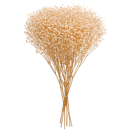 Añadí un toque cálido y natural a tus espacios con este delicado ramo de flores secas. Es una opción ideal para decorar interiores y exteriores sin preocuparte por el mantenimiento. Perfecto para ambientar salas, balcones o incluso eventos como bodas y celebraciones. Estas flores naturales son livianas, duraderas y versátiles, ideales para quienes buscan una estética ecológica y acogedora en su hogar.
