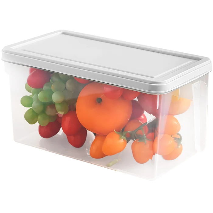 Pack De 2 Cajas De Almacenamiento De Plástico Con Tapa Bloqueada | Capacidad 3.4L | Transparentes Y Con Asa