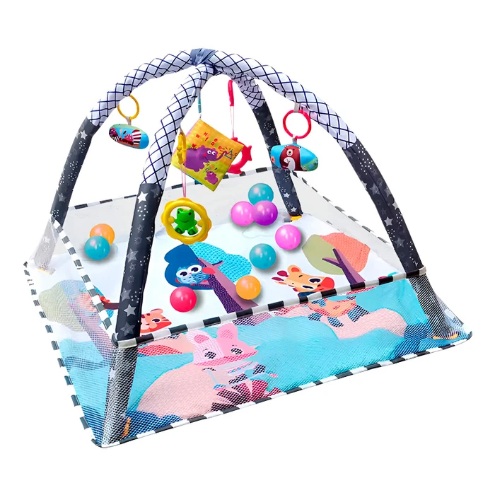 Pelotas Gimnasio Gimnasio Para Bebes Pelotero Gimnasio Y Alfombra