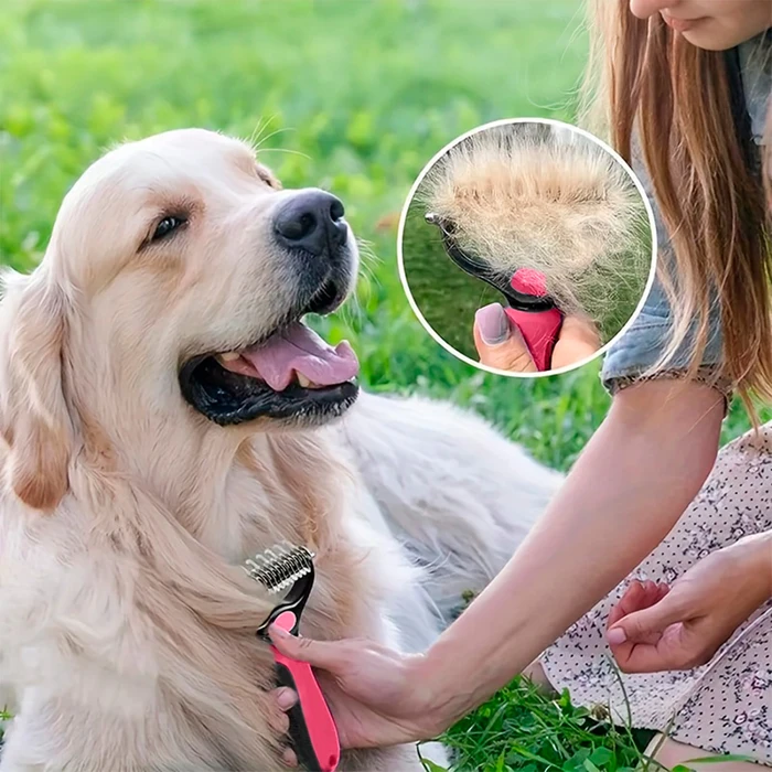Peine Para Dmastar Mascotas, Peine De Acero Inoxidable