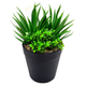 Planta Artificial Espiga con maceta de plástico, al mejor precio, solo en LOi